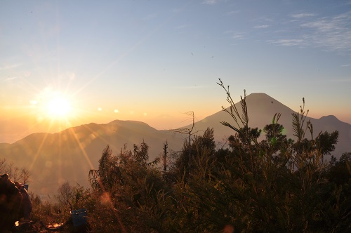 Golden Sunrisenya bro!!!